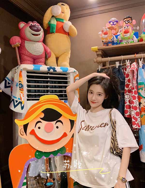 多伦多伴游价格